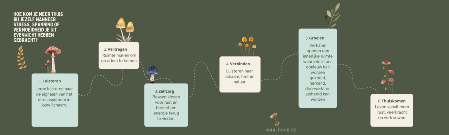 Overzicht sessies Thuiskomen in Rust